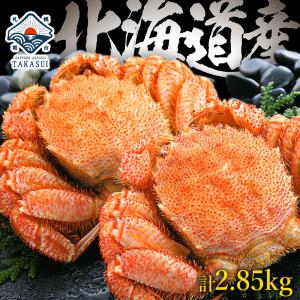 カニ かに 蟹 毛ガニ 毛蟹 北海道産 浜茹で 大570g×5尾セット計2.85kg 送料無料けがに お年賀 御年賀 プレゼント ギフト 内祝 出産内祝い｜takasui