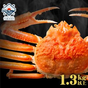お中元 2023 お中元ギフト カニ かに 蟹 ズワイガニ 姿 特大 1.3kg以上 ボイル ずわいがに ズワイ蟹 ズワイガニ姿