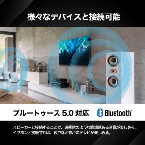 BLUEWIDE 65V型 4K HDR Go...の詳細画像3