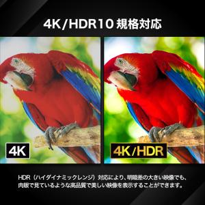 BLUEWIDE 65V型 4K HDR Go...の詳細画像5