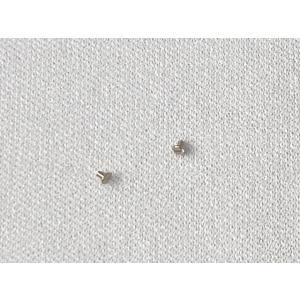 SEIKO（セイコー） 0022247 電池押さえネジ 2個セット（2pcs） cal