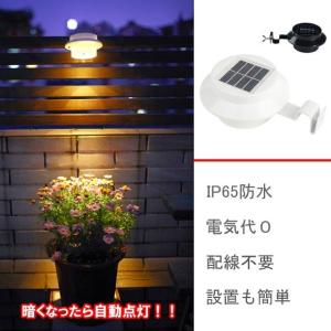 ソーラーライト　ガーデンライト カラーライト 電球色　昼光色　夜間自動点灯