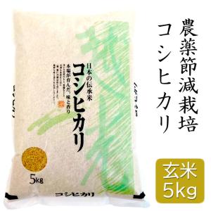コシヒカリ 令和7年産 特別栽培米コシヒカリ（精米）10Kg（5kgx2