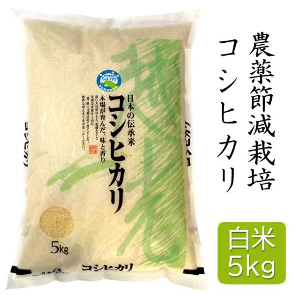 7年産 特別栽培米 コシヒカリ 精米 5kg  福井県産
