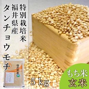 農薬節減栽培 もち米 タンチョウモチ 玄米 5kg 4年産 福井県産