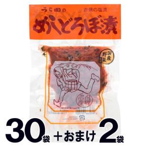 【32】 うら田 めしどろぼ漬 30袋 +2袋おまけ 飯泥棒 めしどろぼう 120g 漬物 岐阜 飛騨 高山 特産品