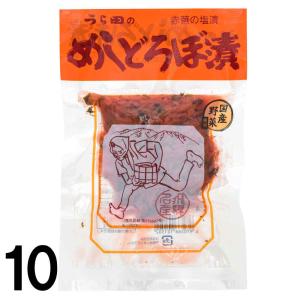 【 10 】 うら田 めしどろぼ漬 飯泥棒 めしどろぼう 120g × 10袋 漬物 岐阜 飛騨 高山 特産品｜takayamasatou