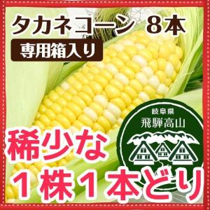 ●販売終了● とうもろこし タカネコーン たかねコーン 高根コーン トウモロコシ 食べ方 つき 高山 販売 【 8本 箱入 】