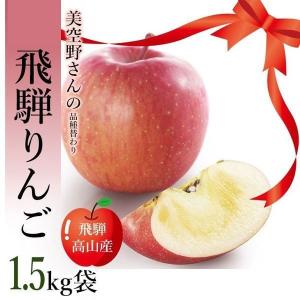 飛騨 りんご 1.5kg 袋 無選別 収穫時期により品種替わり ( 陽光 ふじ 美空のレッド つがる 他 )　美空野 高山 生 リンゴ