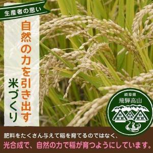 飛騨産 コシヒカリ さとう 特選米 10kg ...の詳細画像2