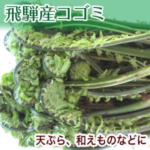 【日付指定不可】 こごみ くぐみ 山菜 天然 約 100g 岐阜県 高山 飛騨産 産地直送 国産