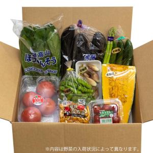 【火曜日限定発送】送料込  飛騨の夏野菜セット トマト ささげ 高原ほうれん草 など 地元の新鮮 野菜 詰め合わせ 岐阜 国産  同梱不可 日付指定不可