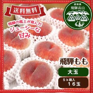 ●販売終了● お盆明け入荷予定　数量限定・送料無料●飛騨を誇るブランド桃　飛騨もも　昭和白鳳[大玉] 5kg化粧箱入（16玉）●岐阜県高山市産ジューシーで甘い