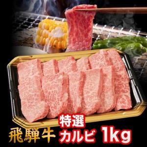 飛騨牛 焼肉 特選カルビ 1kg 6人前 7人前 8人前 特上カルビ 上カルビ A5 A4 ランク 牛肉 和牛 国産 焼肉用