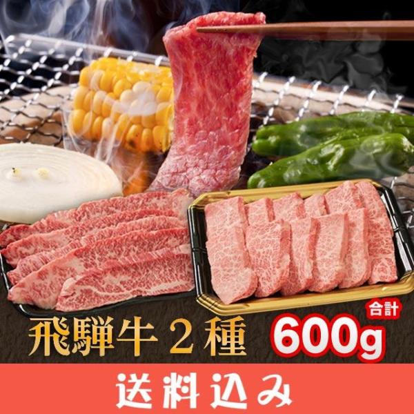 飛騨牛 焼肉 A5 A4 ランク 牛肉 焼き肉用 ギフト 合計 600g ( 特選カルビ カルビ 各...