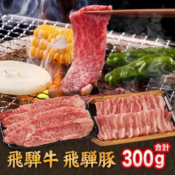 飛騨牛 ＆ 飛騨豚 焼肉 用 焼き肉 セット 合計 300g ( 牛 カルビ 200g 豚 バラ 1...