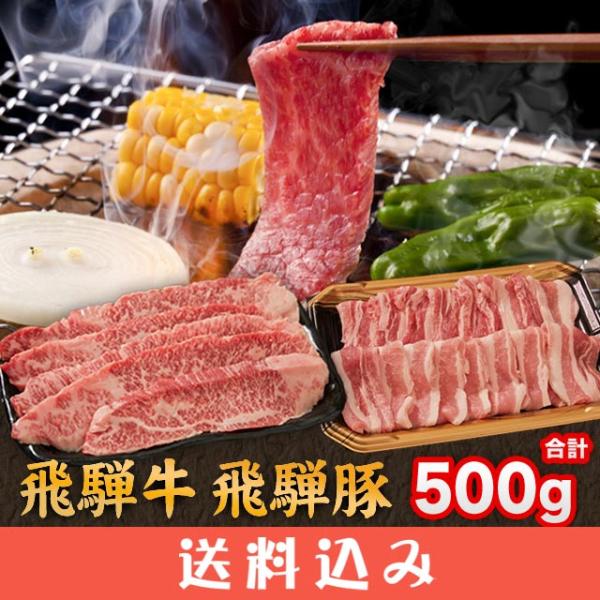 飛騨牛 ＆ 飛騨豚 焼肉 用 セット 合計 500g ( 牛 カルビ 200g 豚 バラ 300g ...