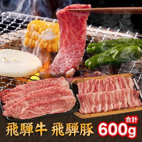 飛騨牛 ＆ 飛騨豚 焼肉 用 焼き肉 セット 合計 600g ( 牛 カルビ 300g 豚 バラ 3...