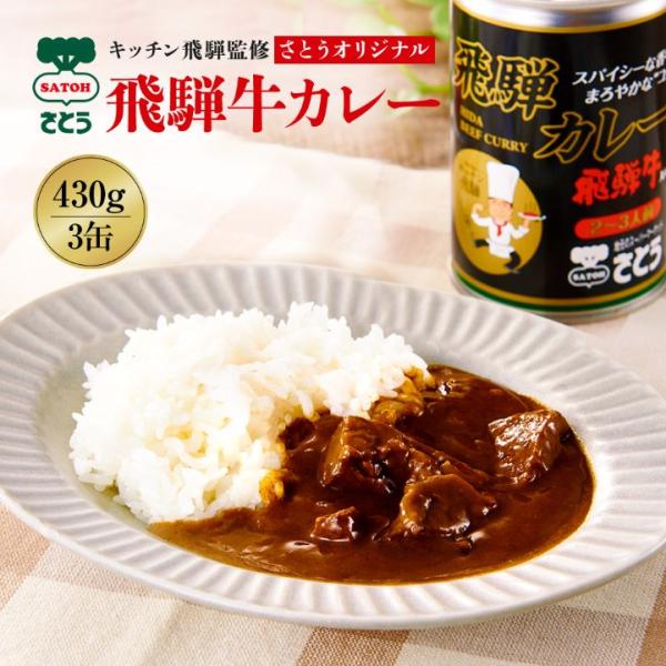 早 【3】 キッチン飛騨 監修 さとうオリジナル 飛騨牛カレー 3缶 セット 飛騨カレー 高山 ビー...