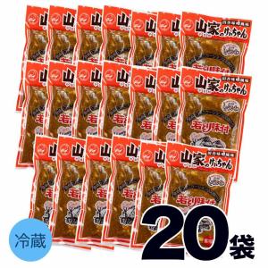 山家 けいちゃん ×20袋 鶏ちゃん ケイちゃん ケーちゃん ケイチャン味付き 鶏肉 みそ味  岐阜 飛騨 高山