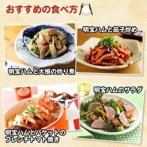 早 【化粧箱】 明宝ハム ギフト ×5本 詰め...の詳細画像4