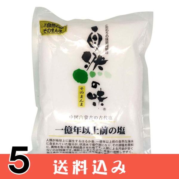【5】 自然の味 一億年以上の前の塩 1kg こだわりの味 塩 中国 岩塩 ×5個 送料込 ※北海道...
