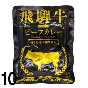 【10】 飛騨牛カレー レトルト ビーフカレー 1人前 160ｇ ×10 ふるさと清見21 パスカル清見｜takayamasatou