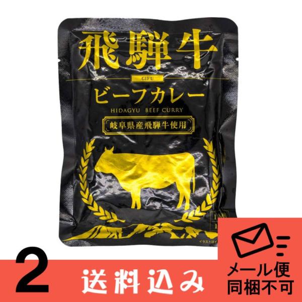 【メール便】【2】ふるさと清見 飛騨牛カレー ビーフカレー(黒） ×2袋 1人前 （1袋：160ｇ）...