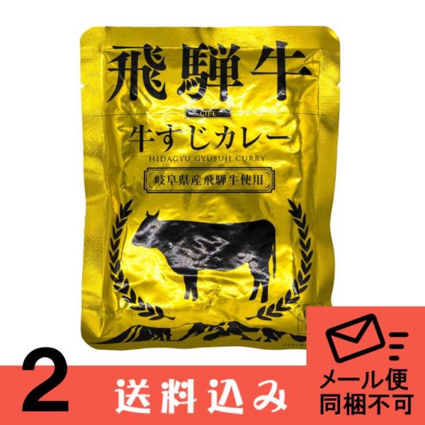 【メール便】【2】ふるさと清見 飛騨牛カレー 牛すじカレー（金） ×2袋 1人前（1袋：160ｇ） ...