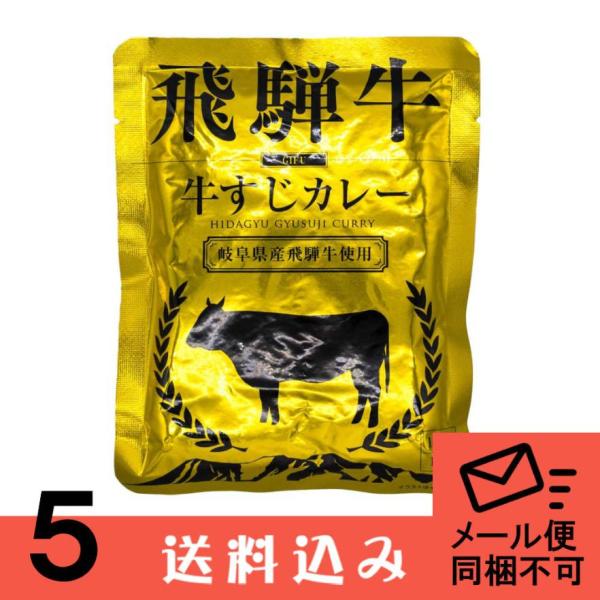 【メール便】【5】 ふるさと清見21 飛騨牛カレー レトルト 牛すじカレー（金） ×5袋 1人前（1...