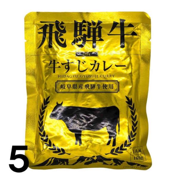 【5】 ふるさと清見21 飛騨牛カレー レトルト 牛すじカレー（金） ×5袋 1人前（1袋：160ｇ...