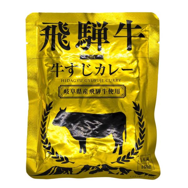 ふるさと清見21 飛騨牛カレー レトルト 牛すじカレー(金) 1人前 (1袋：160ｇ) パスカル清...