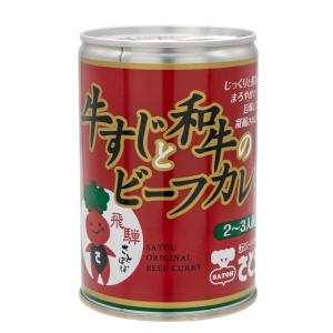牛すじと和牛のビーフカレー 1缶 さとうオリジナル ビーフ カレー｜takayamasatou