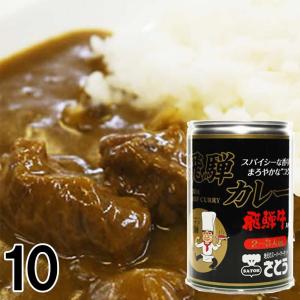 【10】  飛騨牛カレー キッチン飛騨 監修 さとうオリジナル 缶詰 2〜3食入 430 g×10缶 レトルト ビーフカレー 送料込み ※北海道1000円、沖縄1200円別途必要｜takayamasatou