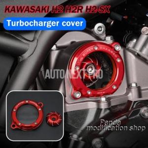 TEASER KCK02G KEY COVER 【DRY CARBON HG】 Kawasaki Z H2 (21-22