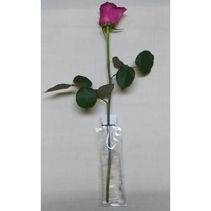 切り花用 保水キャップ「プチエコゼリー 20g...の詳細画像2