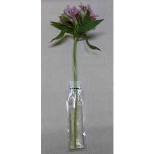 切り花用保水キャップ「プチエコゼリー S 10...の詳細画像1