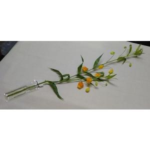 切り花用保水キャップ「プチエコゼリー S 10...の詳細画像4