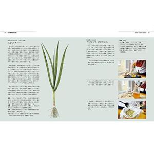 湿地に強い樹木 本 雑誌 コミック の商品一覧 通販 Yahoo ショッピング