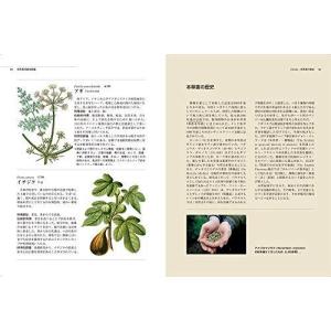 湿地に強い樹木 本 雑誌 コミック の商品一覧 通販 Yahoo ショッピング