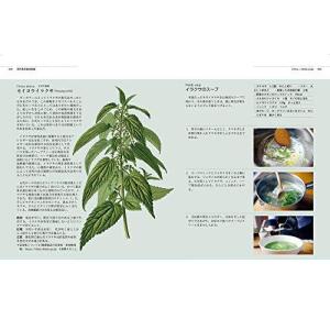 湿地に強い樹木 本 雑誌 コミック の商品一覧 通販 Yahoo ショッピング