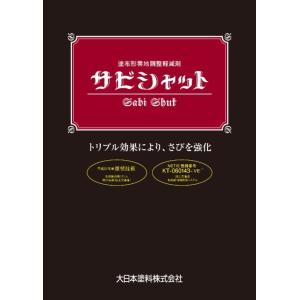 サビシャット　6ｋセット　大日本塗料製（ＤＮＴ）｜takeda-online