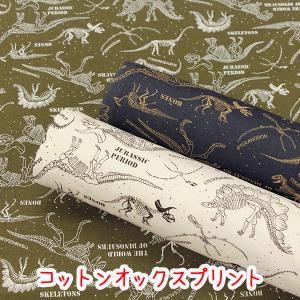かっこいいオックス Jurassic Period コットン100 オックスプリント生地 恐竜 恐竜柄 化石 ダイナソー レッスンバック 入園入学 男の子 418 40 生地布地の店タケヒロヤ ヤフー店 通販 Yahoo ショッピング
