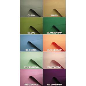 生地 無地 帆布 11号帆布「無地11号ハンプ...の詳細画像2