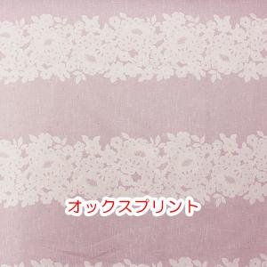 在庫限り　オックスプリント　レースボーダー　ピンク