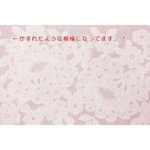在庫限り オックスプリント レースボーダー ピンクの詳細画像2