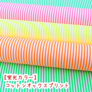 生地 布 ネオンカラー 蛍光４ｍｍストライプ コットン100％オックスプリント