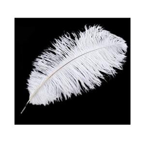 ダチョウの羽 マスクの商品一覧 通販 Yahoo ショッピング