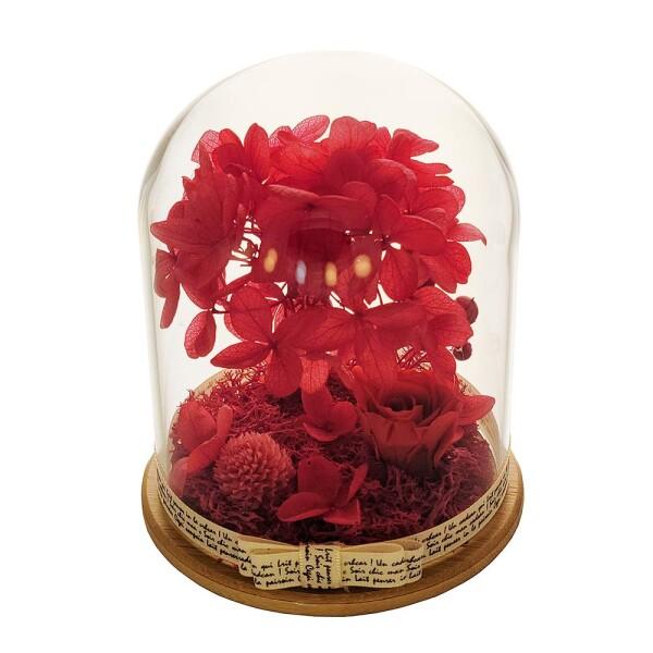 ガラスドームの永遠のバラ保存されたバラのガラスの花バレンタインデーの誕生日母の日記念日