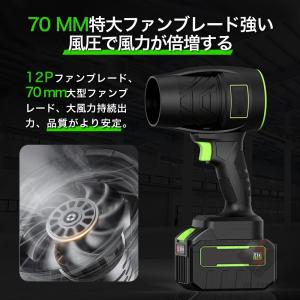 ブロワー 洗車 充電式ブロワー 25000rp...の詳細画像5